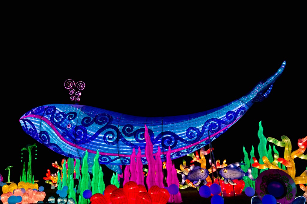 china light licht festival lichtshow show festiviteit glow evenement event chinees chinese verlichting draak dragon lichtfestival zoo